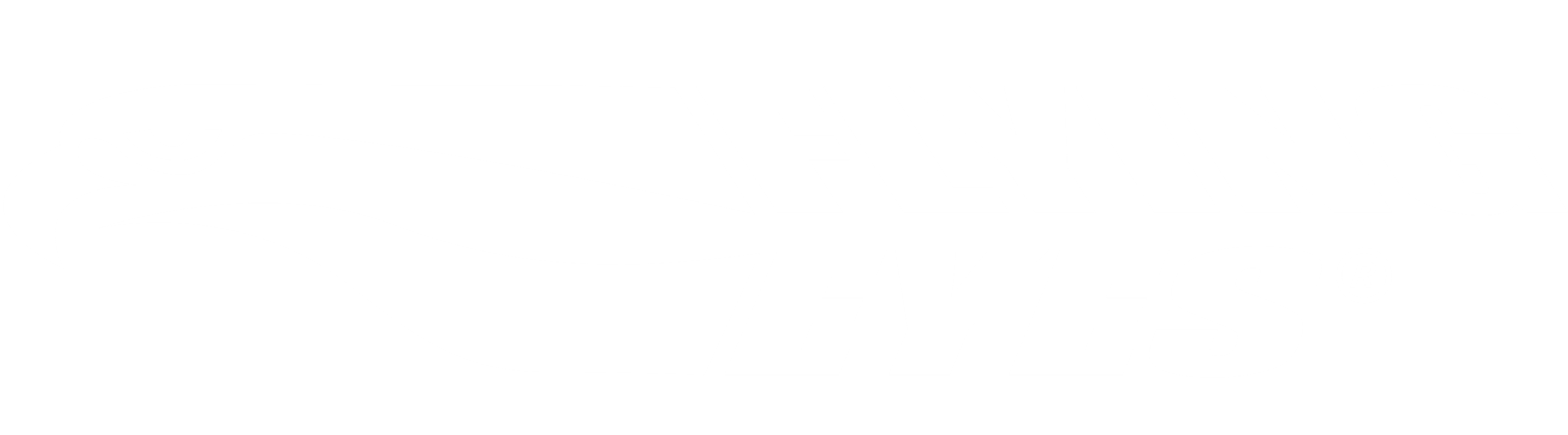 Flying Eyes Company Logo